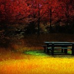 autumn wallpaper, fall wallpaper, autumn photos, autumn pictures, autumn images